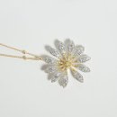 데이지플라워 이미지