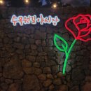 제주애월당귤 이미지