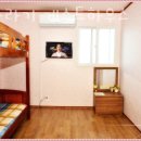 제주게스트하우스봄꽃 이미지