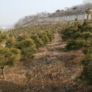 태성농장 이미지