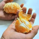 유현농장 이미지