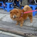 풍년쌀집 티스토리