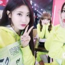 드루와드루와 Daum카페
