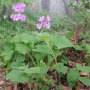 영서축산 이미지