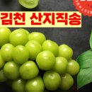 농업회사법인주식회사 그린팜