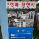 화개장터식품 이미지
