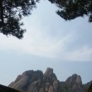 꽃다락 - 서산시 중앙로 102 | 꽃다락