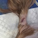 해와달동물병원 이미지