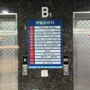 화성 새솔동 미용실 헤어룸 이나 레이어드펌 찐후기