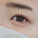 김해 주촌 제이뷰티 j beauty 속눈썹펌 후기