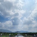 탄금야구장 이미지