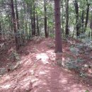 신의한수농장 이미지