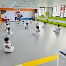 한양대엘리트태권도 이미지