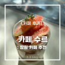 경상남도청 2식당 | [창원] ‘카페 수르’ 후기 :: 데이트하기 좋은 가로수길 카페