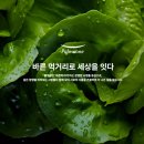 채용백농장 | 풀무원 신입사원 채용정보 / 자소서 작성 정보 알려드립니다.