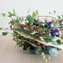 넝쿨DESIGN 이미지