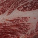 단고을한우마을 이미지