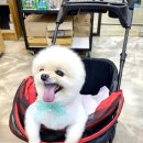 펫파크 동백점 이미지