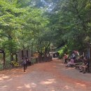 계족산 황톳길 이미지