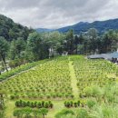 고인목장 이미지