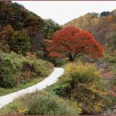 수산리-6 이미지