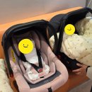 백일약국 | 쌍둥이 신생아~3개월 바구니카시트 대여 내돈내산 솔직후기