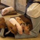 카페안길 이미지