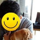 WALWAL(왈왈) 네이버블로그