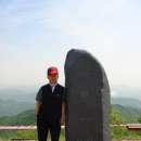 상록수 Daum카페