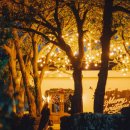 제주청년돼지 이미지