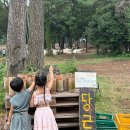 범준목장 이미지