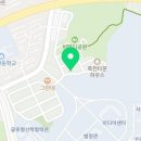 아일랜드플라워카페
