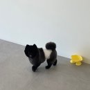 멍풀하우스 네이버블로그