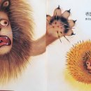 보림콜렉션 이미지