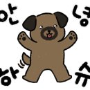 펫토피아(PETOPIA) 이미지