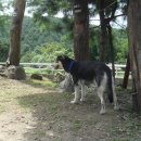 내촌농장 이미지