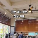 장기동 고창초등학교 앞 이미지