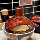 주식회사 마스터키 | 일본 오사카 내맘대로 여행 01 - 간사이공항 리무진, 한큐레스파이어, 이즈모 루쿠아, 살롱드아만토