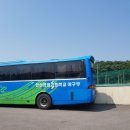 배나물야구장 이미지