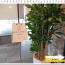 선향코스메틱 미용 홍보를 위한 아름다운 공간대여 with 텐스