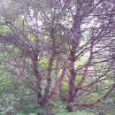 상수경로당 이미지