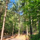 소원정 | 국립 산음자연휴양림 야영장 소개 | 울창한 숲속 산책로 좋은 휴양림