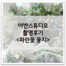 둥지스튜디오 - 수원시 장안구 서부로 2066 | [W5-3] 어반스튜디오 촬영후기 - 파란꽃 둥지 배경