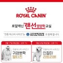 로얄애견 이미지