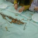 그림책 꽃 피었네 이미지