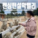 켄싱턴리조트 설악밸리 &#39;로얄스위트 바젤&#39; 바베큐 조식 이용후기