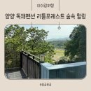 리틀 포레스트 펜션 | 양양 독채펜션 리틀포레스트 아이와 자연 속 힐링여행