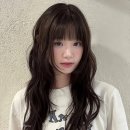 레인헤어 네이버블로그
