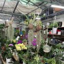 경성화원 이미지