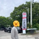 성지1리 | 청송 블루리본 맛집 원조신촌식당 후기｜육식맨 보고 달려가 먹은 닭불백숙세트!
